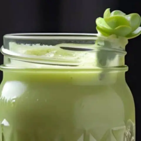 Cholesterol Lowering Pineapple Spinach Smoothie Recipe