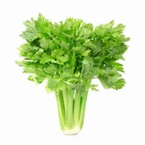 Celery