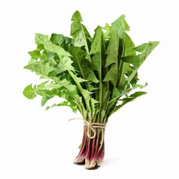 Dandelion Greens