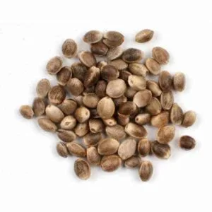 Hemp Seeds