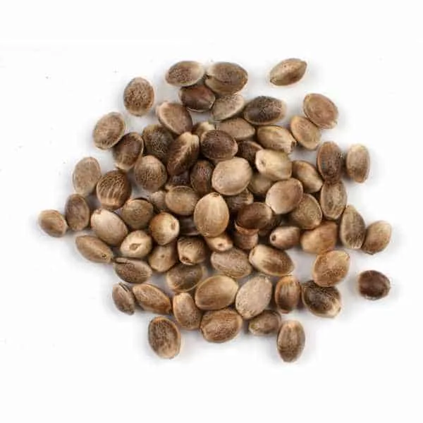 Hemp Seeds