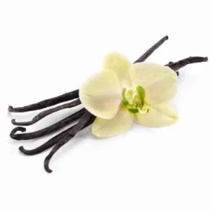 Vanilla Extract