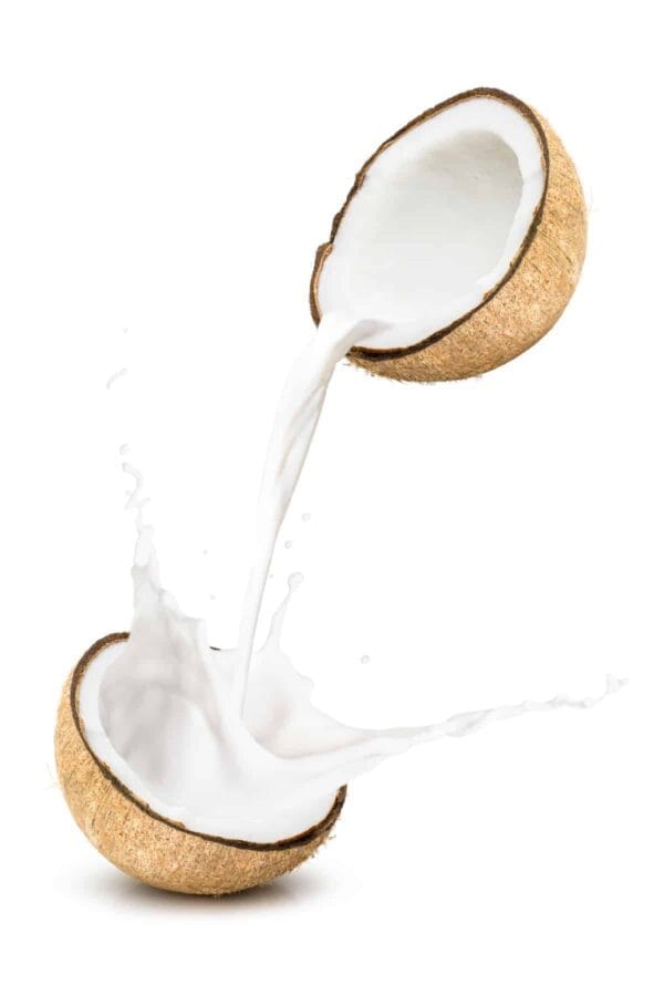 12 Great Tasting Keto Smoothie Recipes 6 Liquid Bases