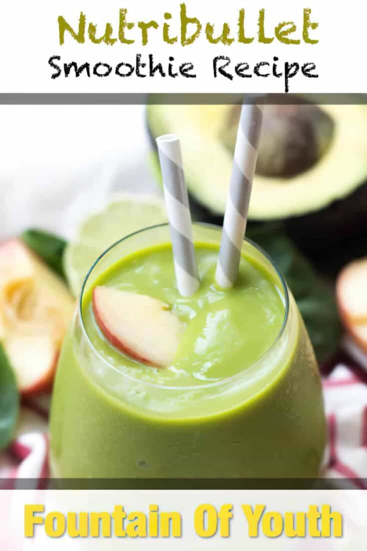 nutribullet fountain youth smoothie recipe p