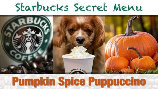 Starbuck Secret Menu Pumpkin Spice Frappuccino