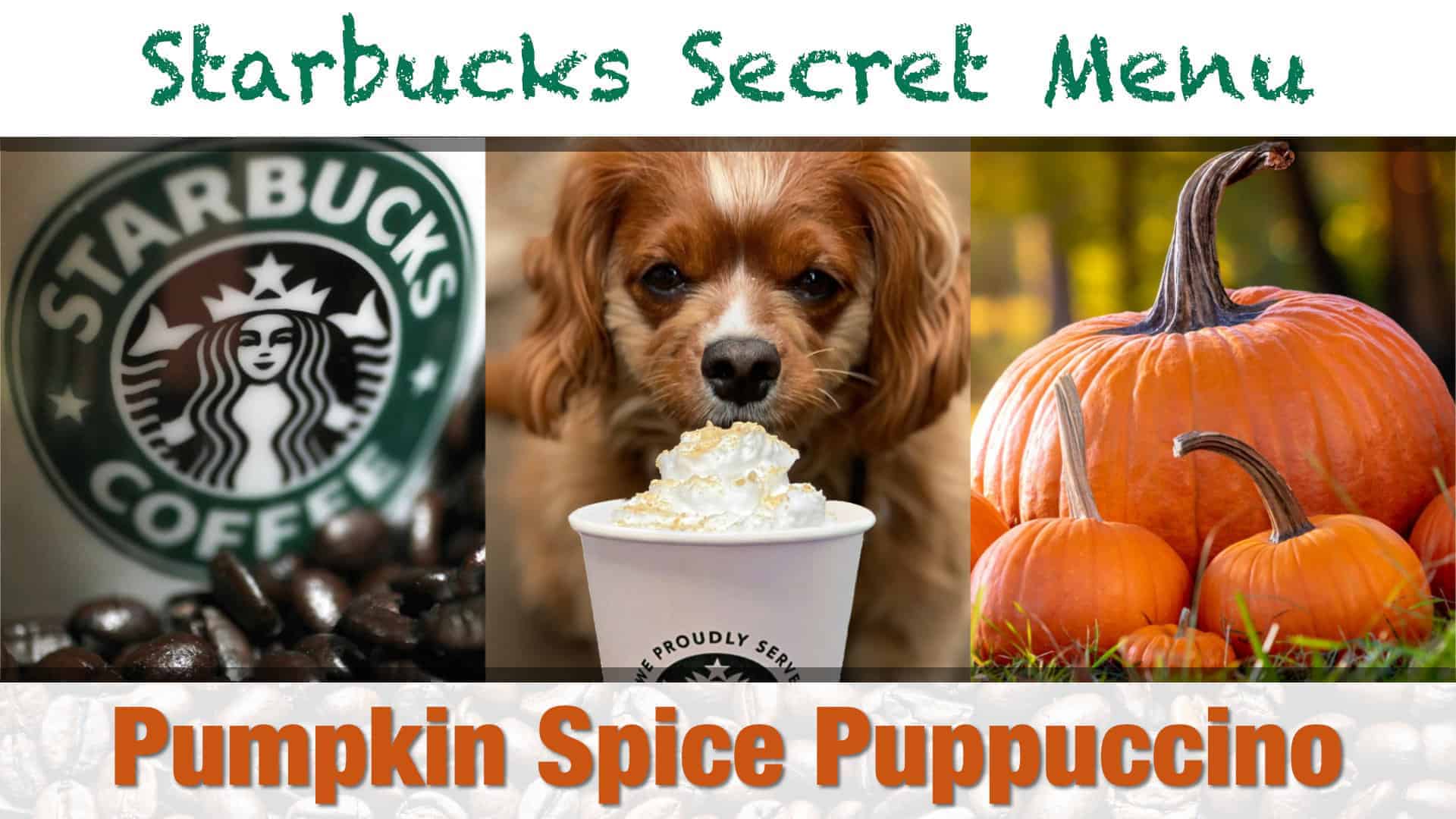 Starbuck Secret Menu Pumpkin Spice Frappuccino