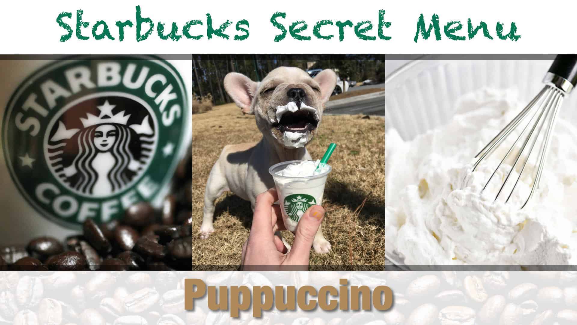 Starbucks Secret Menu Puppucino Recipe