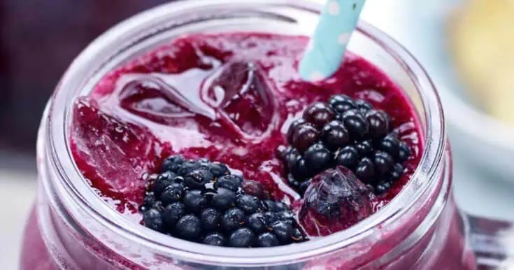 Vitamix Blackberry Beet Smoothie Recipe
