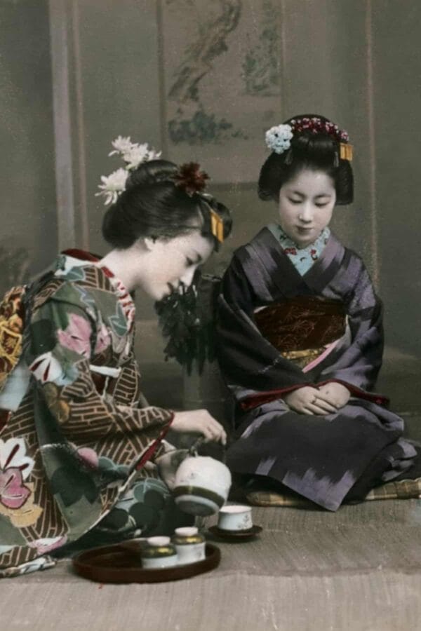 What Is Matcha Green Tea Powder? 8 Traditional Japanese Matcha Tea Preparation