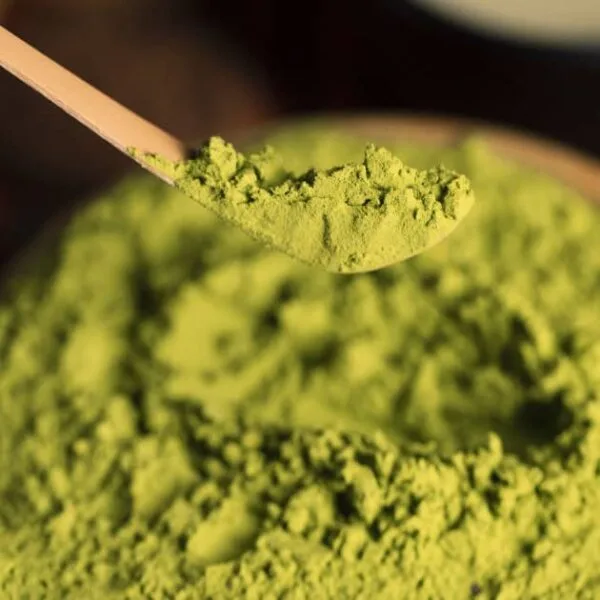 Matcha green tea powder on a bamboo spoon.