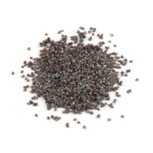BlendJet Strawberry Poppy Seed Protein Shake 5 Poppy Seeds