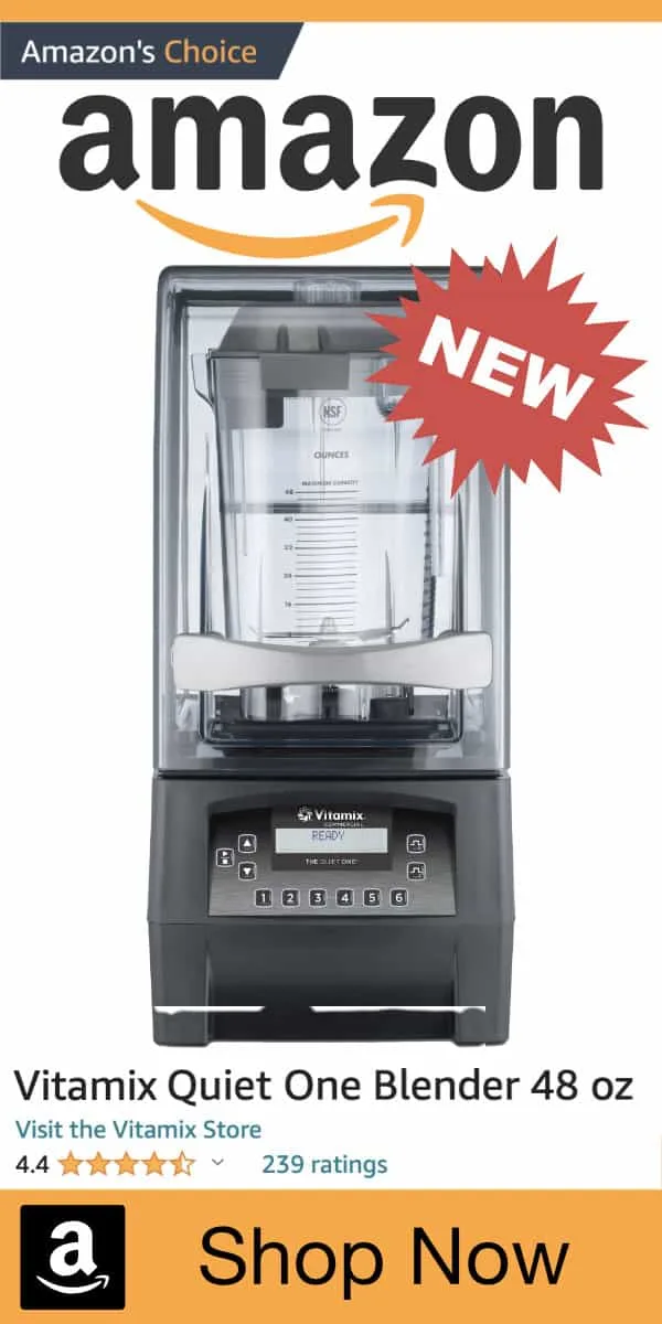 Vitamix The Quiet One Blender On Amazon