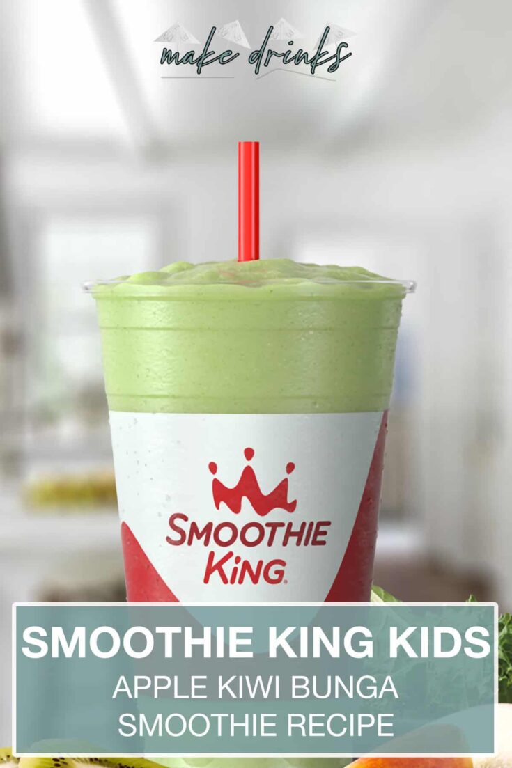 smoothie king kids apple kiwi bunga recipe pin