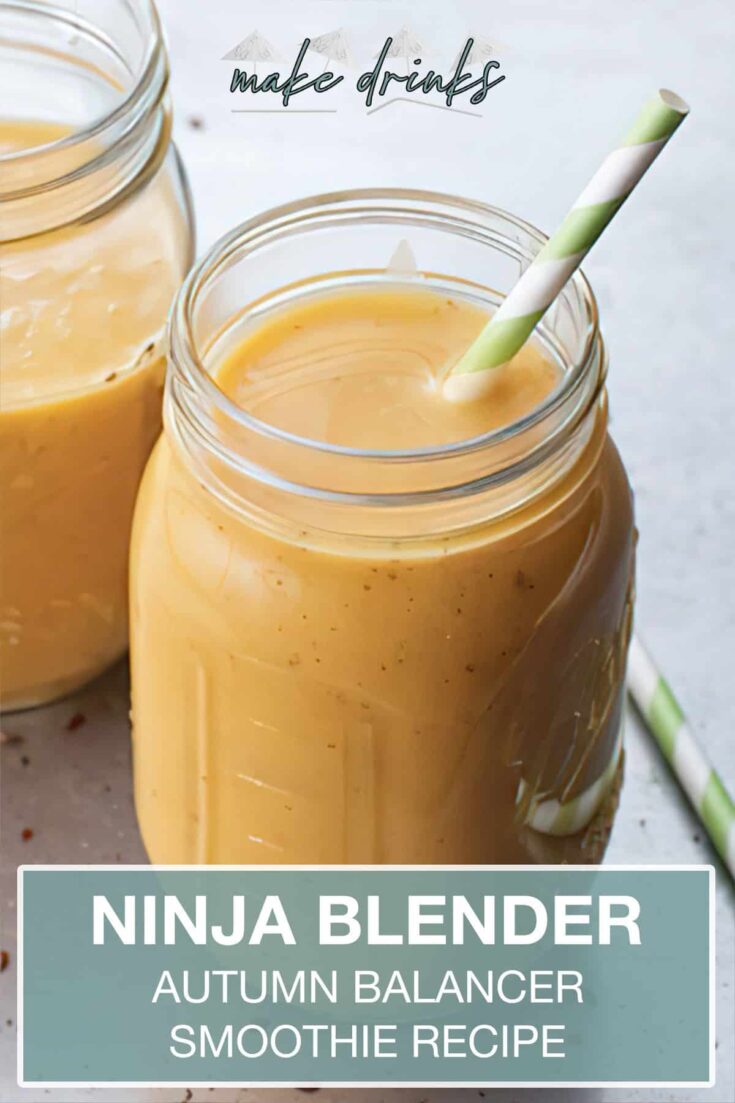 ninja blender autumn balancer smoothie recipe pin