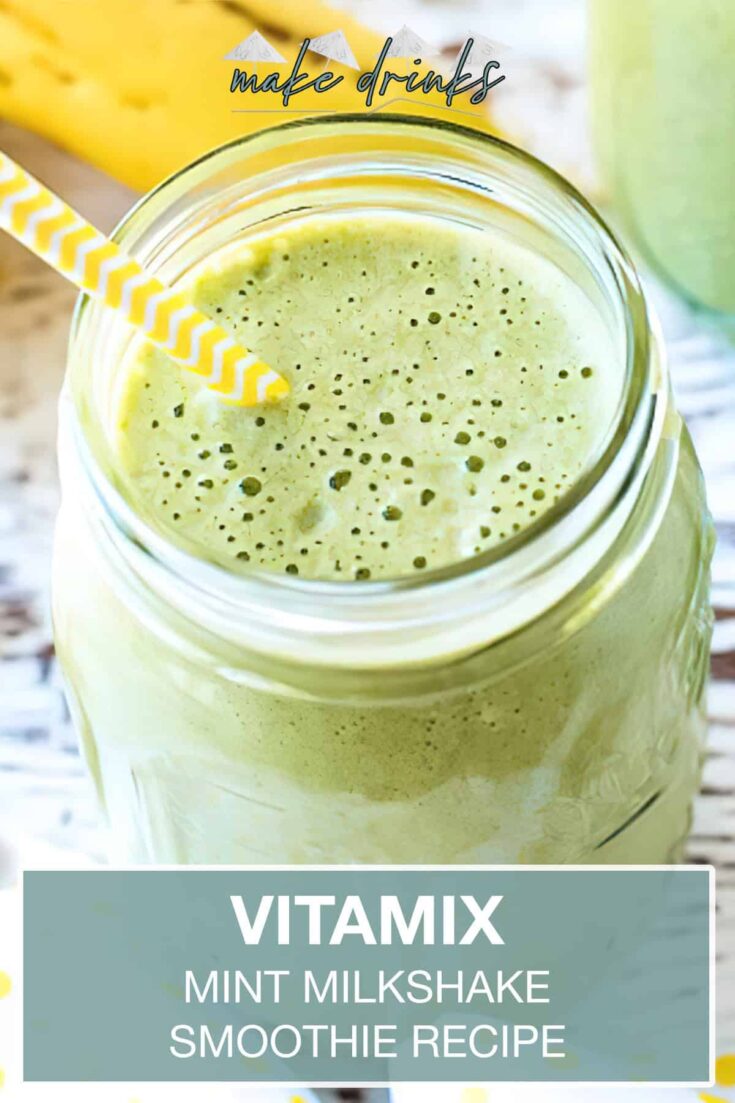 vitamix mint milkshake smoothie recipe pin