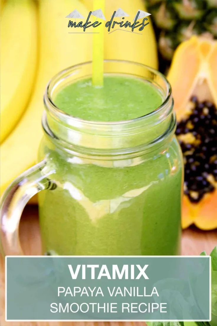 vitamix papaya vanilla smoothie recipe pin